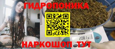 ALPHA PVP Лесосибирск