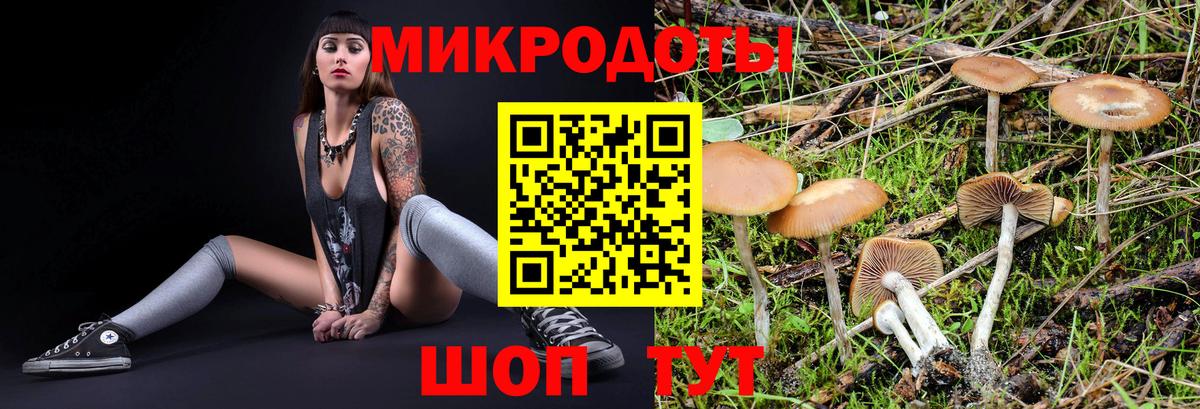 Пермь  Галлюциногенные грибы Magic Shrooms  цена наркотик  Вход с VPN 